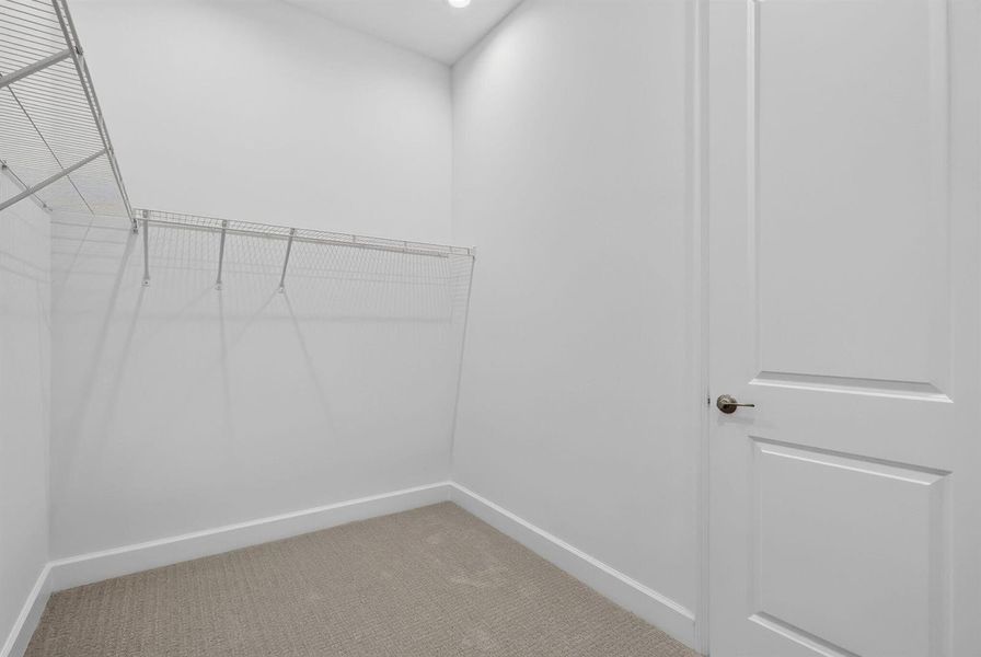 28-web-or-mls-7R7A8956 28-web-or-mls-7R7A8956
