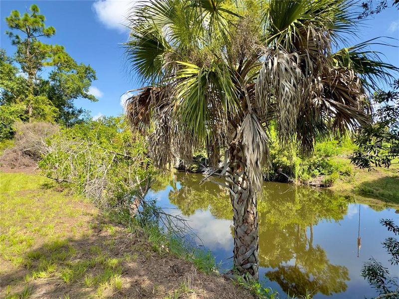 Natural landscape and outdoor views near in Rotonda West (Image 59). Natural landscape and outdoor views near in Rotonda West (Image 59).