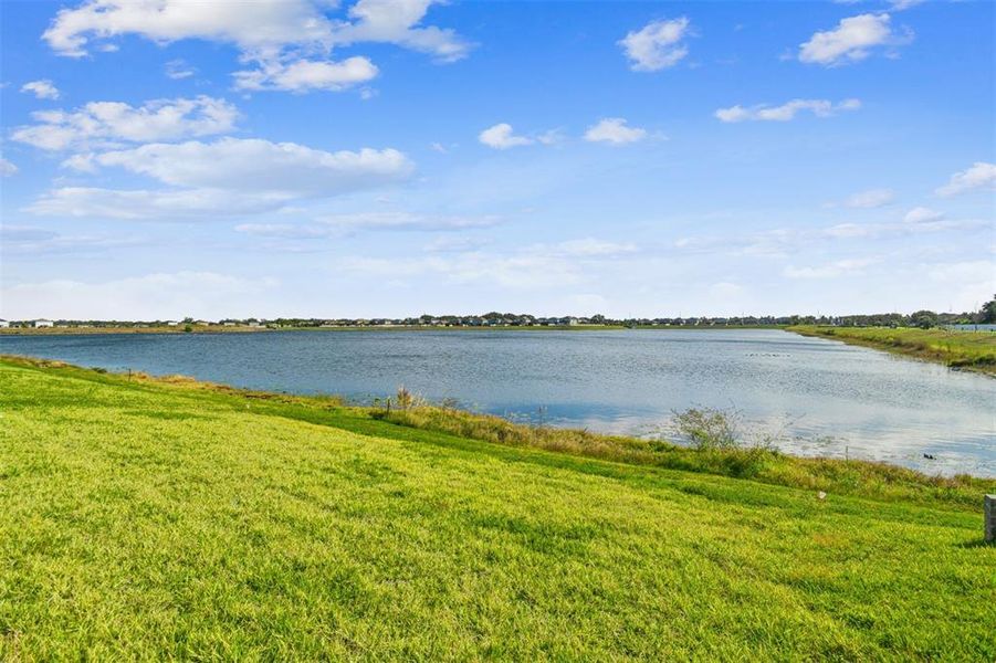 Natural landscape and outdoor views near The Peninsula at Rhodine Lake in Riverview (Image 35).