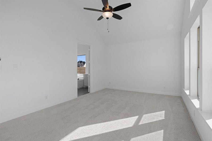 DAL_Painted Tree_Easton_3925 Menard Street (23) DAL_Painted Tree_Easton_3925 Menard Street (23)