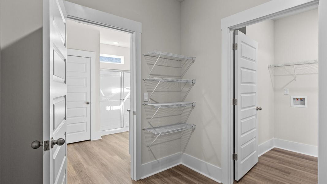 Spacious, unfurnished interior of a new home in Indigo Preserve, Leland (Image 25).