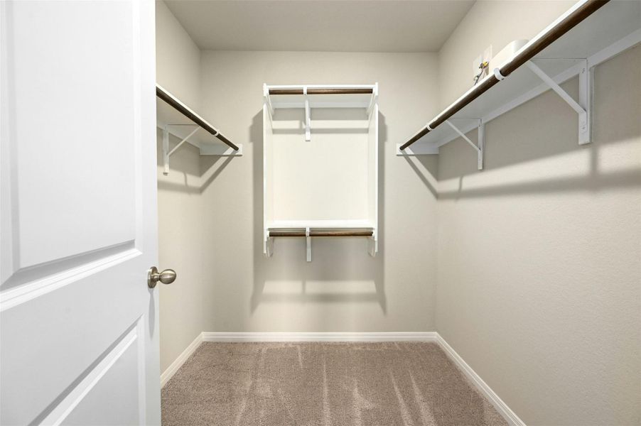 Spacious closet with carpet floors