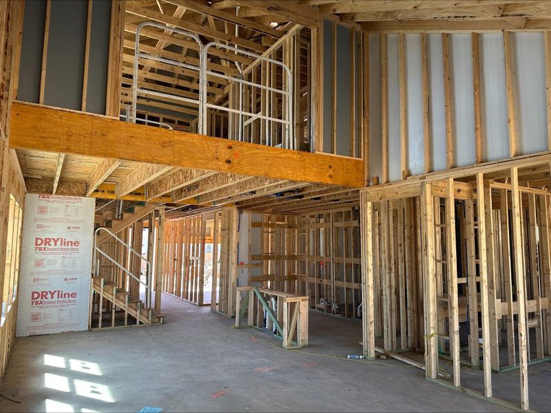 225 Coyote Willow Way - Under Construction