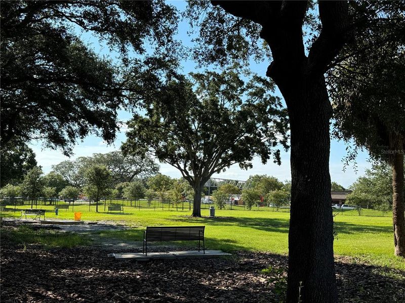 Natural landscape and outdoor views near in Clearwater (Image 38). Natural landscape and outdoor views near in Clearwater (Image 38).