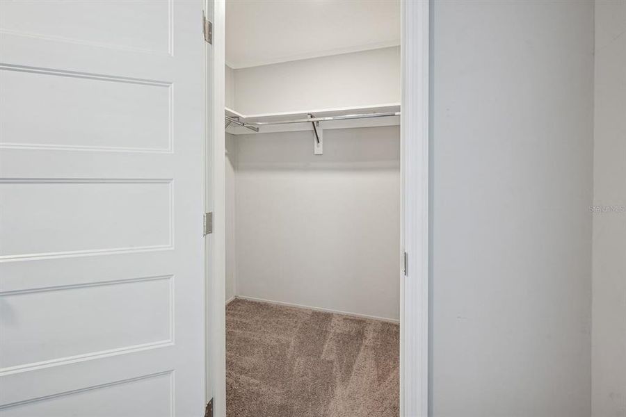 Spacious, unfurnished interior of a new home in , Morriston (Image 39).