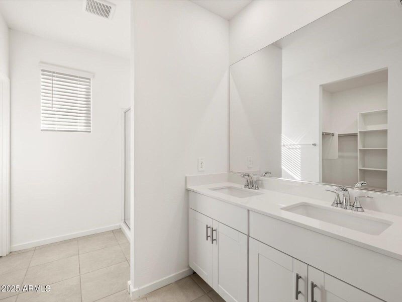 Primary Bathroom View 1