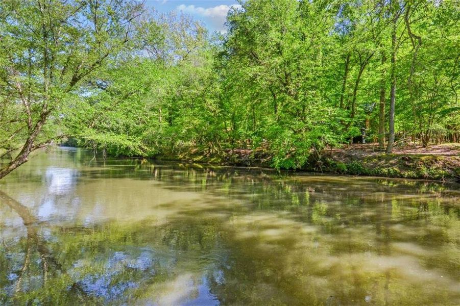 Natural landscape and outdoor views near  in Ellijay (Image 46).