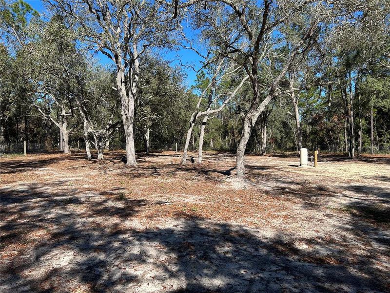 Natural landscape and outdoor views near  in Williston (Image 10).