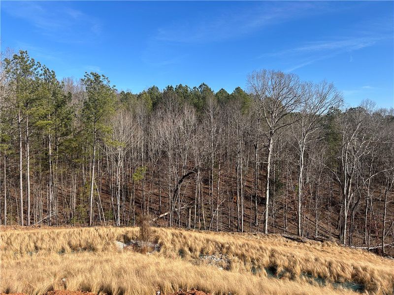 Natural landscape and outdoor views near Edwards Ridge in Central (Image 11). Natural landscape and outdoor views near Edwards Ridge in Central (Image 11).