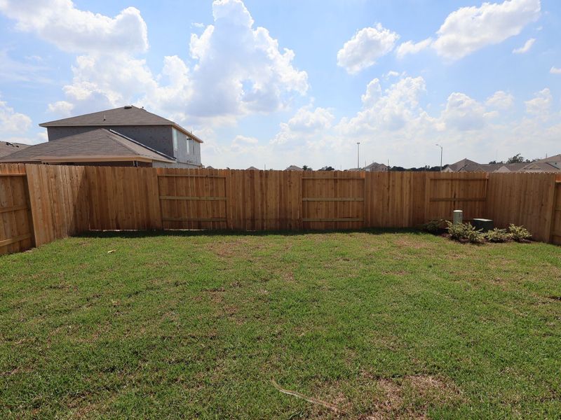 Backyard