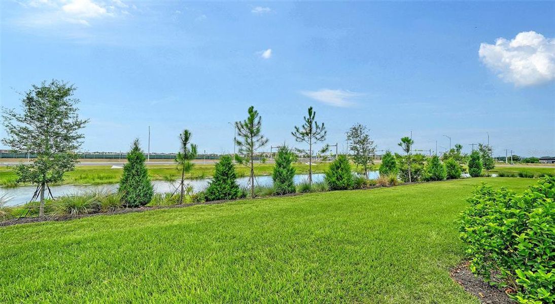 Natural landscape and outdoor views near Palm Grove in Lakewood Ranch (Image 29). Natural landscape and outdoor views near Palm Grove in Lakewood Ranch (Image 29).