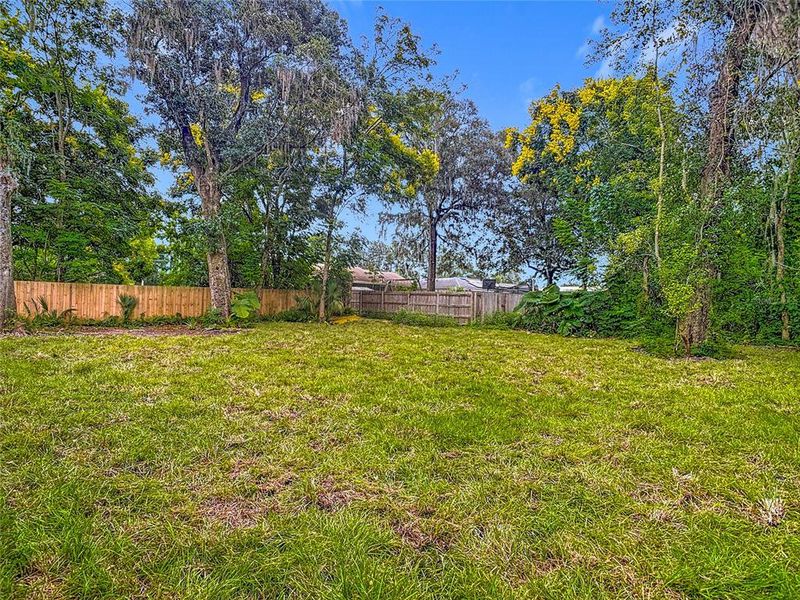 Natural landscape and outdoor views near  in Deland (Image 40).