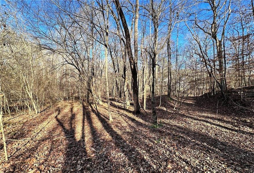 Natural landscape and outdoor views near  in Cumming (Image 26).
