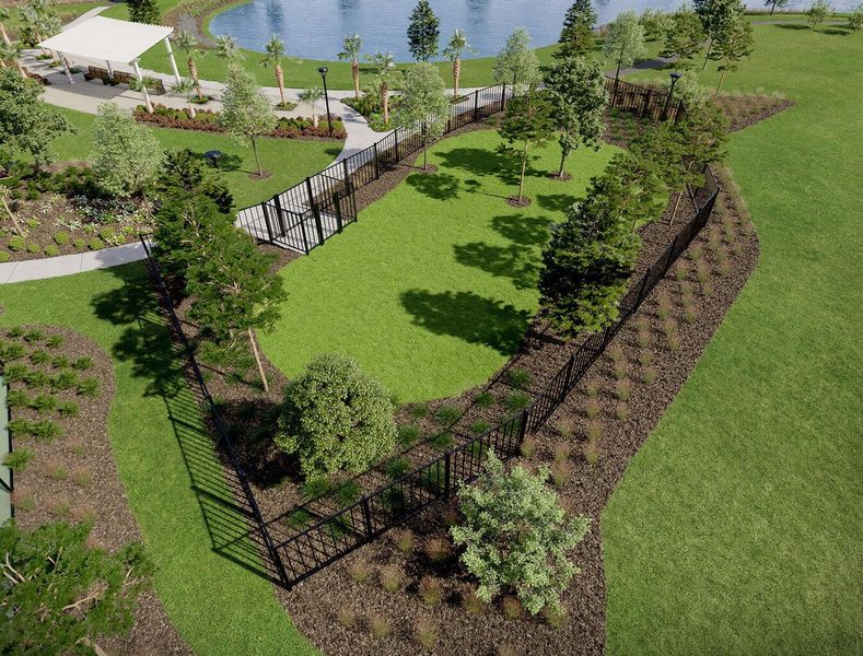 Community amenities in Hammock Walk at Nexton, Summerville (Image 34).