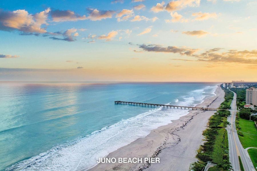 Caretta - Juno Beach Pier