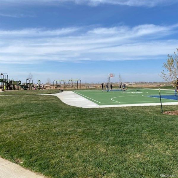 Community amenities in Willow Bend: The Monarch Collection, Thornton (Image 5). Community amenities in Willow Bend: The Monarch Collection, Thornton (Image 5).