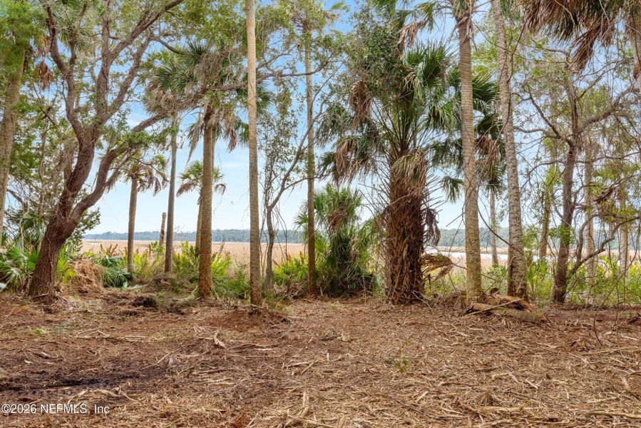 Natural landscape and outdoor views near  in Ponte Vedra Beach (Image 8).