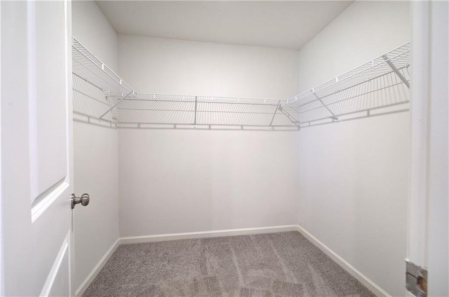 Spacious, unfurnished interior of a new home in Kingston Park, Kingston (Image 9).