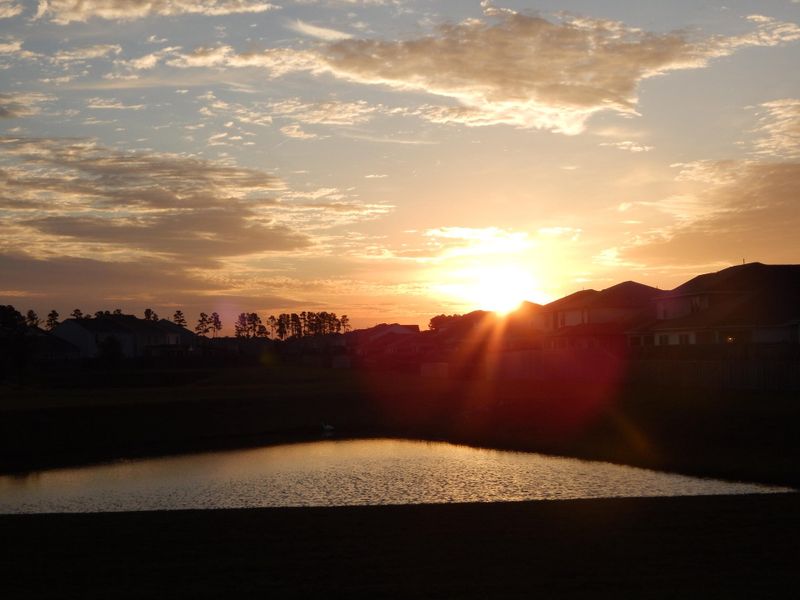 Natural landscape and outdoor views near  in Summerville (Image 27).