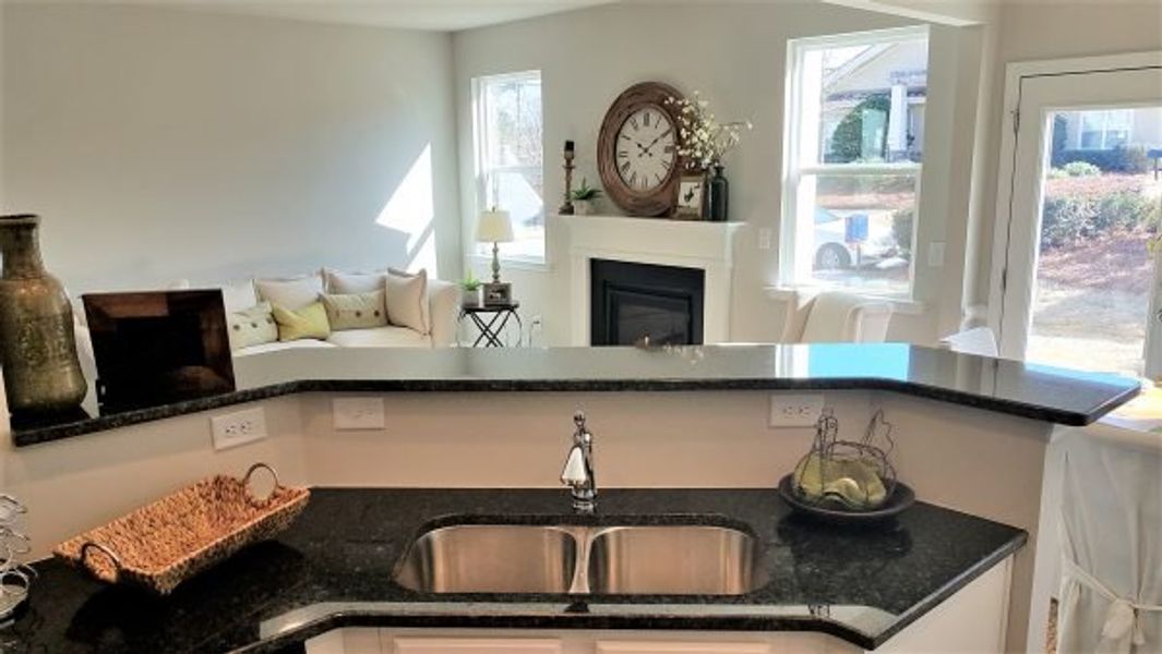Image 23 representing the Emory by Piedmont Residential in Falls Creek, Flowery Branch, GA.