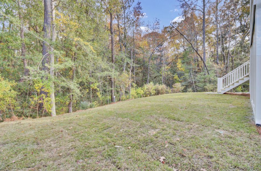 Natural landscape and outdoor views near Indigo Grove Single Family Homes in Johns Island (Image 50).