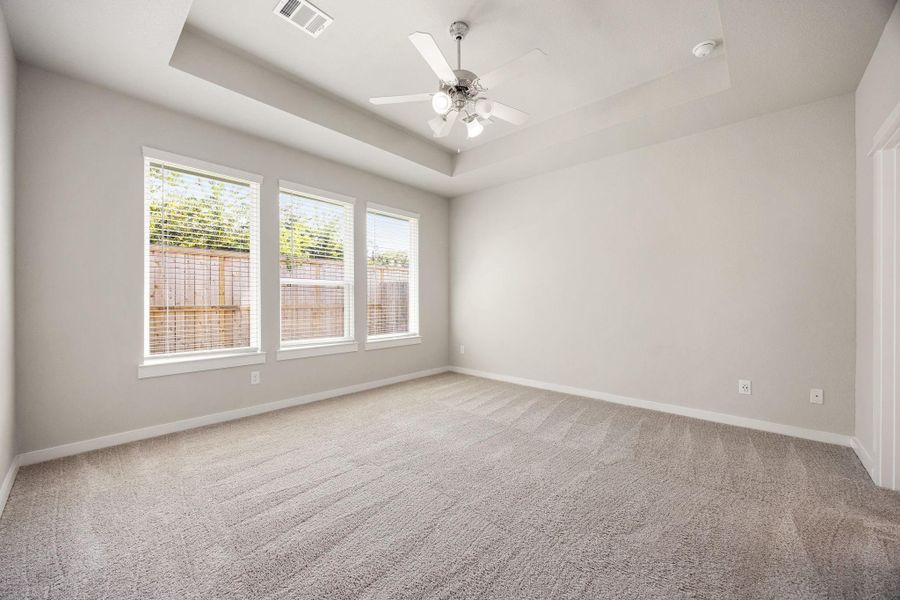Primary bedroom with tray ceilings