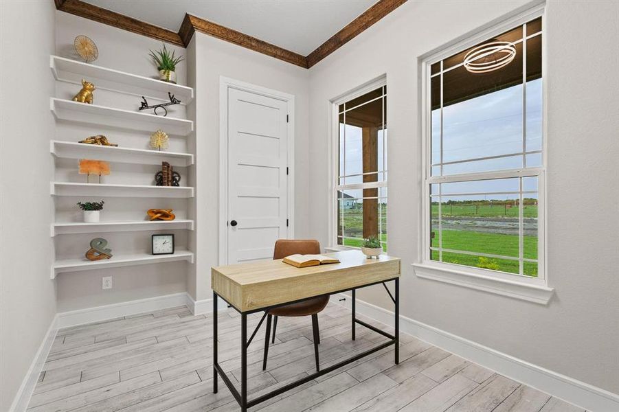 Home office featuring wood finish floors and crown molding