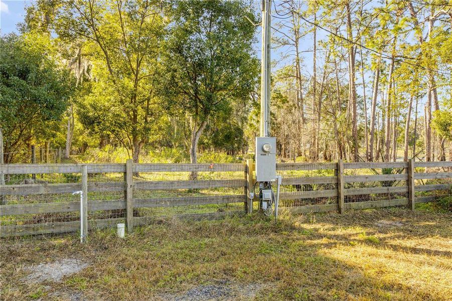 Natural landscape and outdoor views near  in Pierson (Image 16).