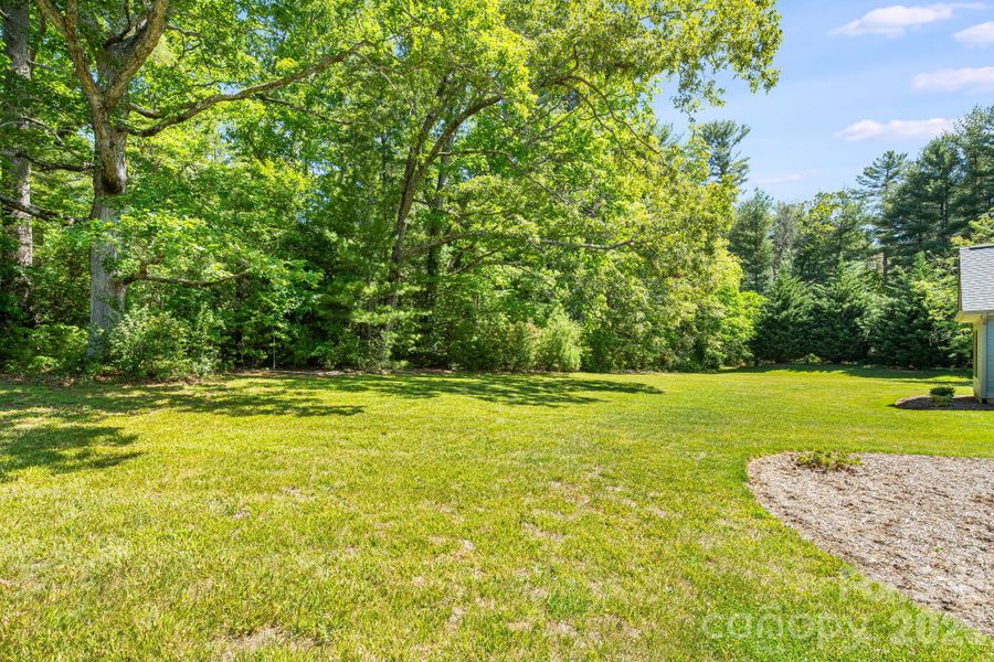 Natural landscape and outdoor views near  in Flat Rock (Image 37).