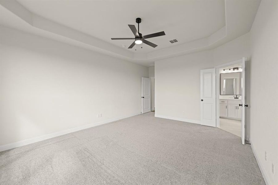 113 Grey wolf- Primary-2 113 Grey wolf- Primary-2