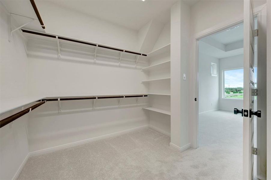 Walk-in closet featuring extensive built-in shelving, multiple hanging rods, and light gray carpet flooring