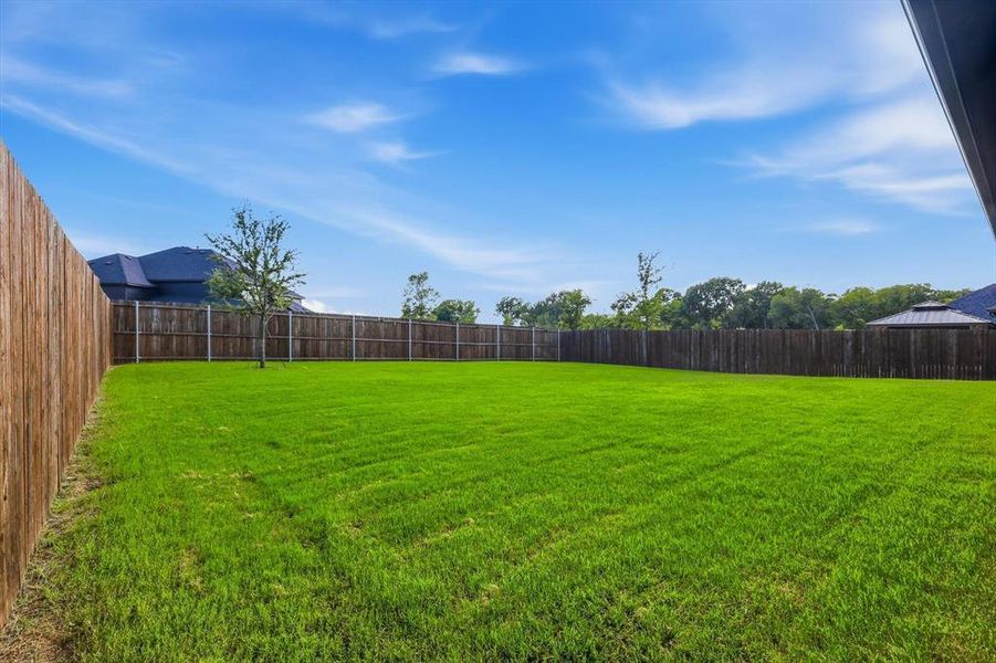 Spacious backyard featuring a manicured lawn, full privacy fencing, and a young deciduous tree
