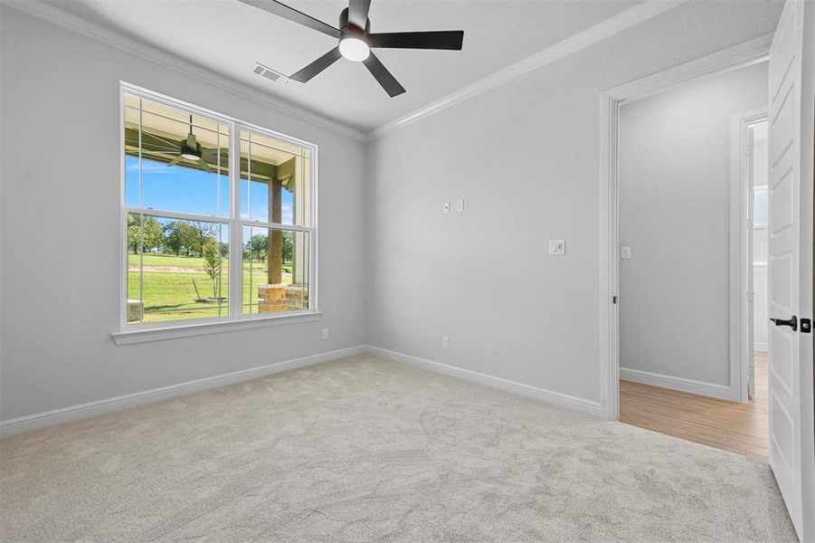 Carpeted spare room featuring ceiling fan and ornamental molding