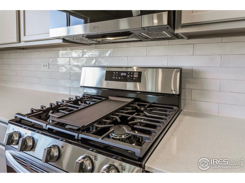 Close-up of interior finishes inside a home in Bloom Trailblazer Collection - Single Family Homes, Fort Collins (Image 17).