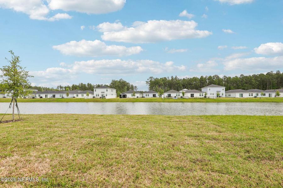 Natural landscape and outdoor views near Kings Preserve in Jacksonville (Image 35).