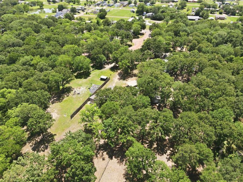Natural landscape and outdoor views near  in Quitman (Image 27).