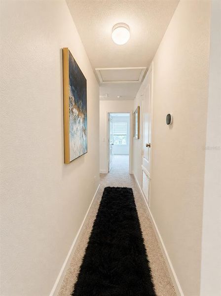 Spacious, unfurnished interior of a new home in , Clermont (Image 21).