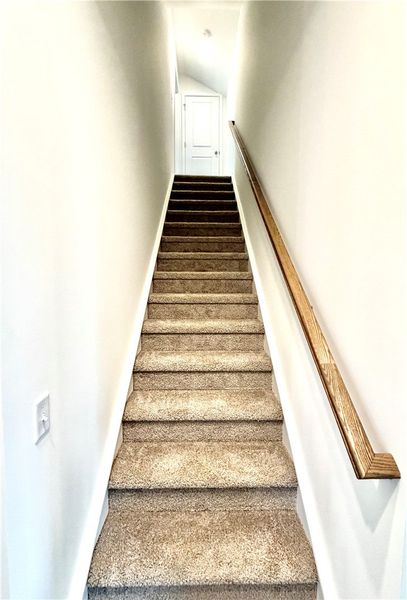 Carpeted stairs with a natural wood handrail lead