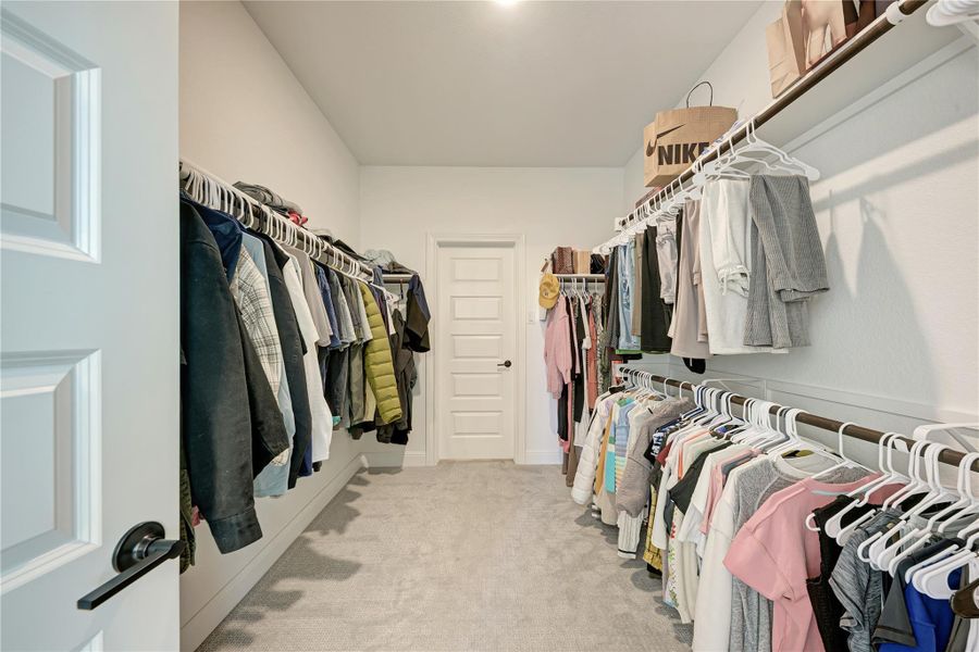 Spacious walk-in closet featuring light grey carpeting, white walls, and a white paneled door
