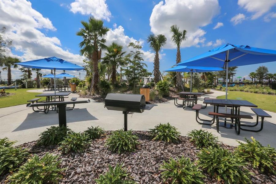 Community amenities in , Apollo Beach (Image 81).