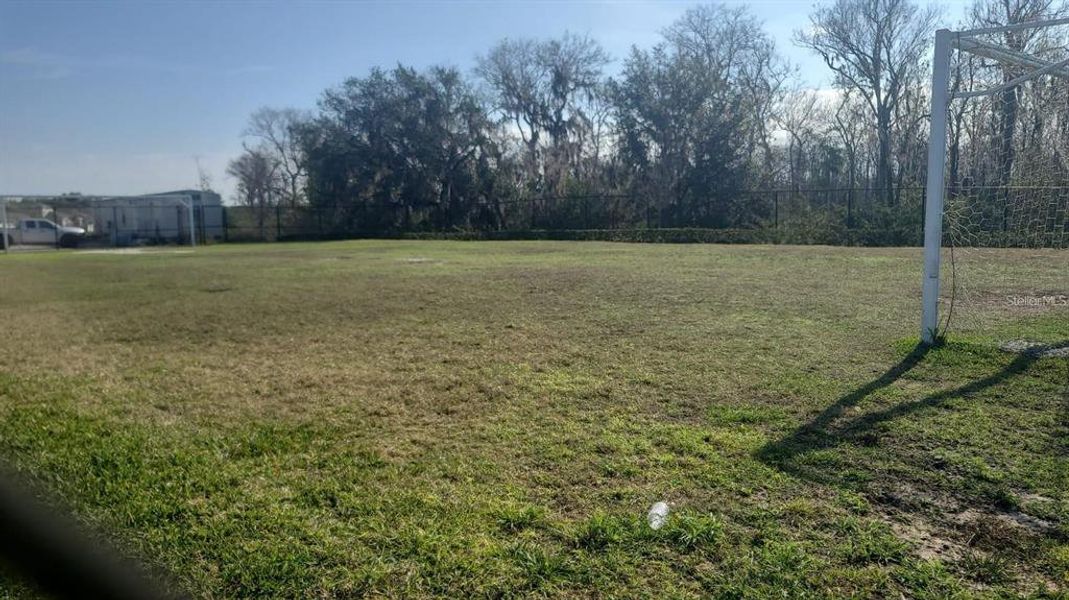 Natural landscape and outdoor views near Storey Creek in Kissimmee (Image 42).