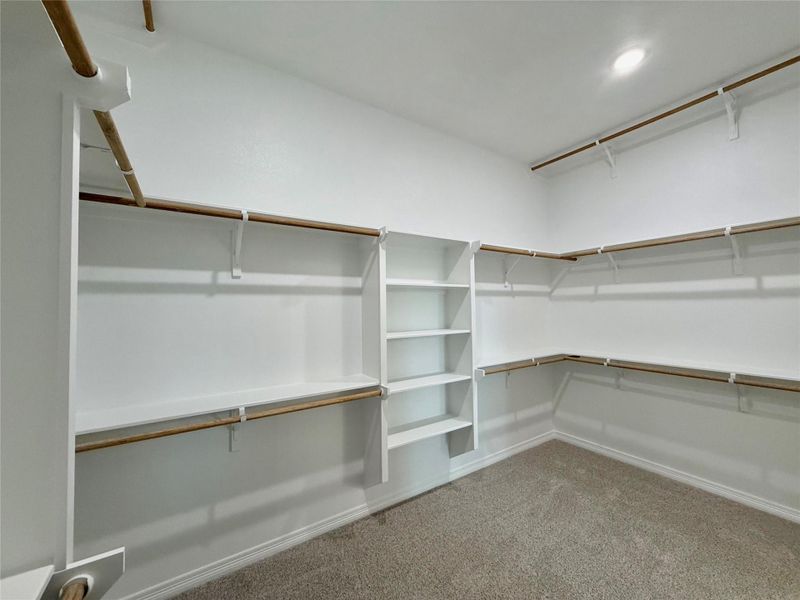 Spacious walk-in closet featuring built-in shelving, multiple hanging rods, and plush carpeting