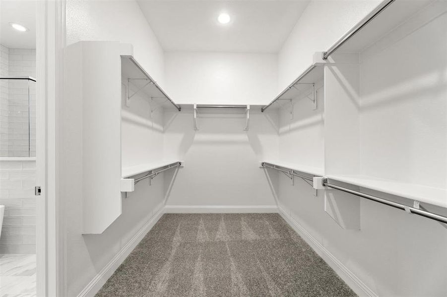 Elizabeth plan Elizabeth plan