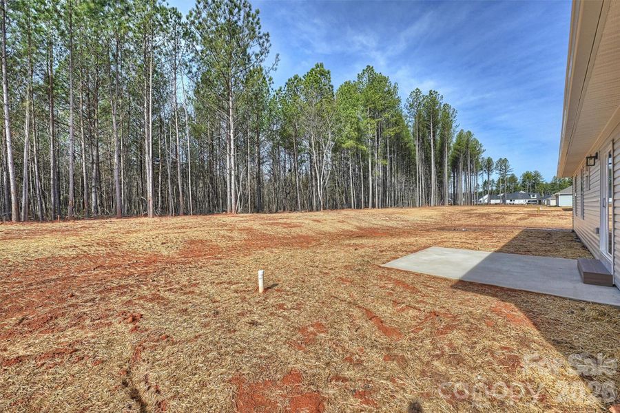 Site preparation for new homesites in , Lincolnton (Image 37).