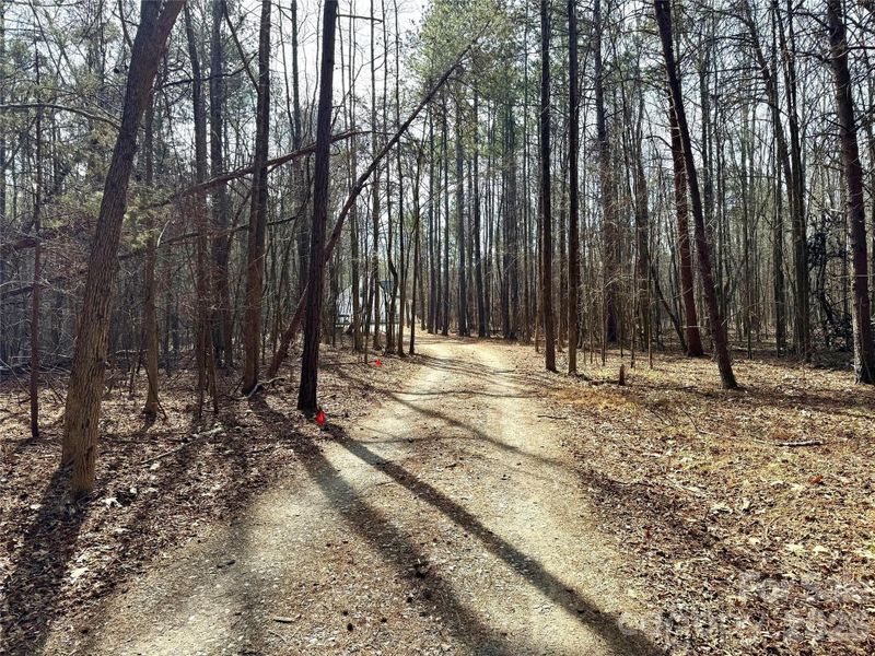 Natural landscape and outdoor views near in York (Image 38). Natural landscape and outdoor views near in York (Image 38).