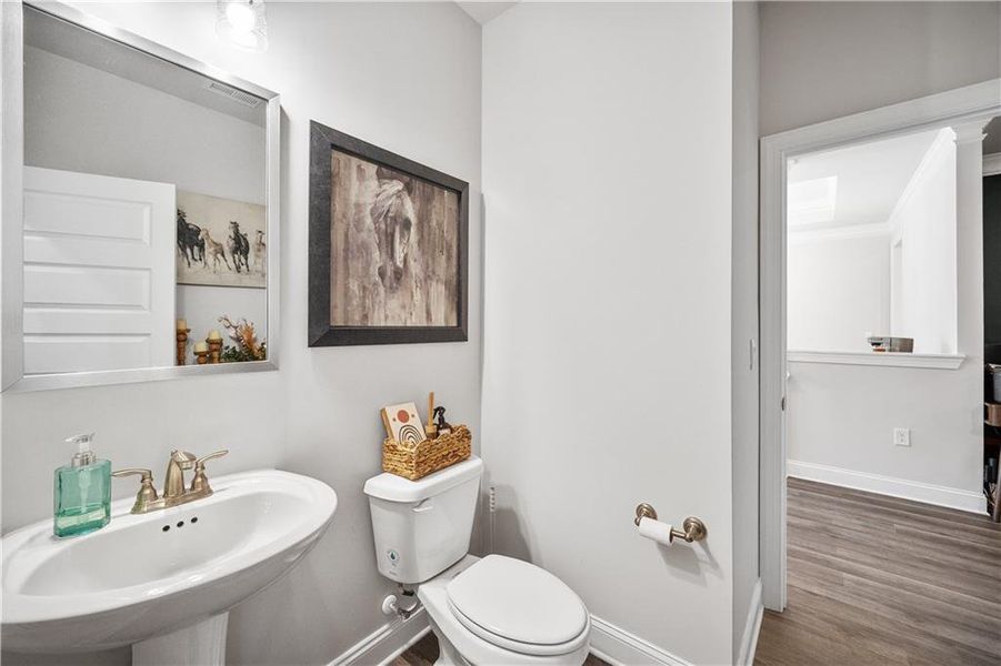 Furnished interior view inside a new home in Holiday Pines, Buford (Image 9).