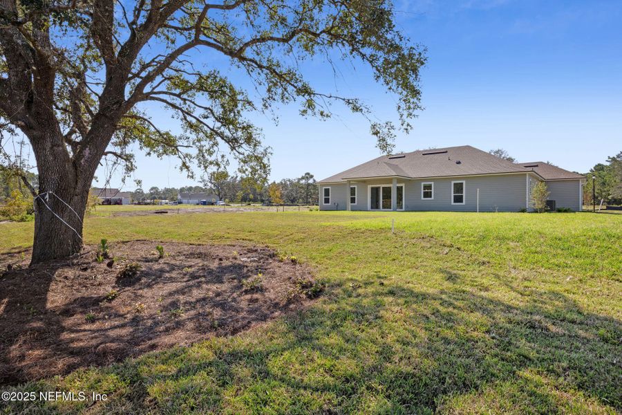 Natural landscape and outdoor views near Katie Cove in Jacksonville (Image 31).