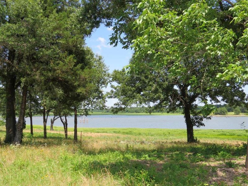 Natural landscape and outdoor views near  in Emory (Image 26).