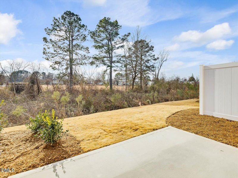 21-021-Lot160-MeadowView-DRB-20250116 21-021-Lot160-MeadowView-DRB-20250116