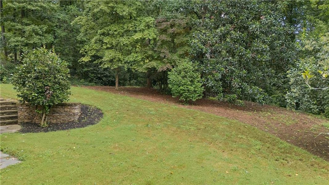 Natural landscape and outdoor views near  in Atlanta (Image 75).